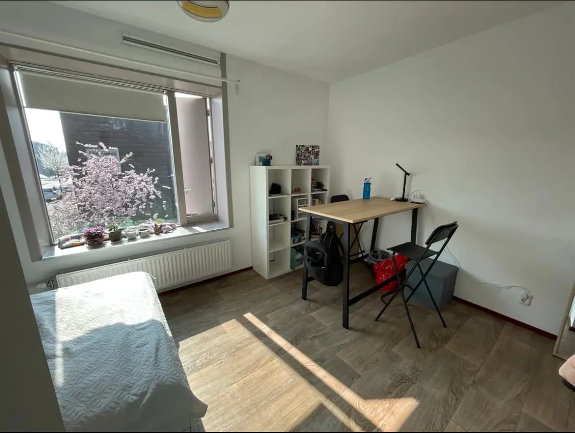 geblurde versie van de foto als achtergrond