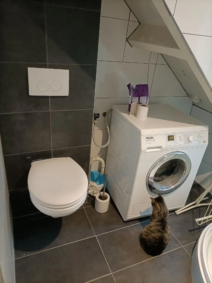 Foto van de Kamer gelegen aan de Dodonaeusstraat in Zaandam