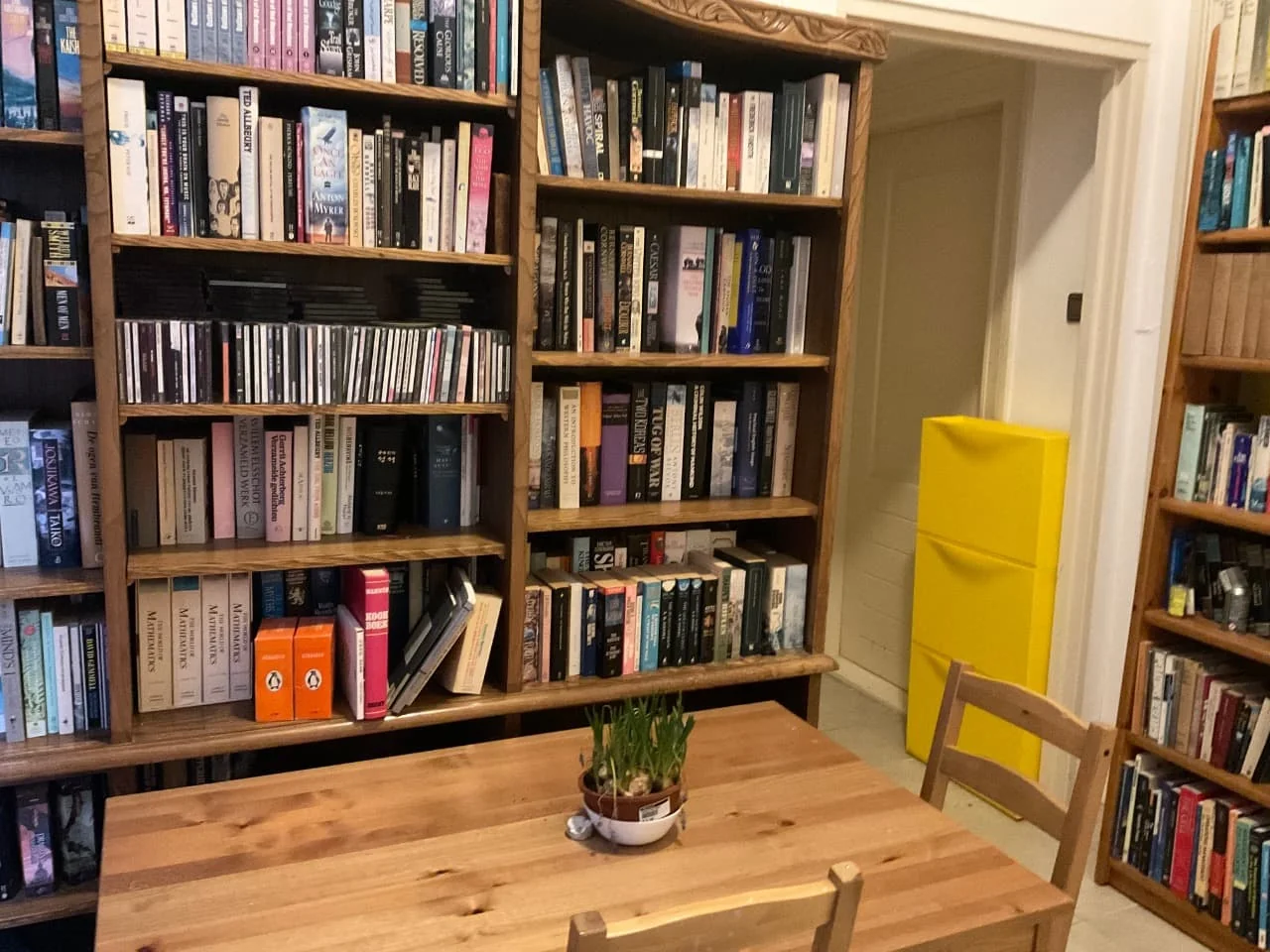 Foto van de Kamer gelegen aan de Balistraat in Den Haag