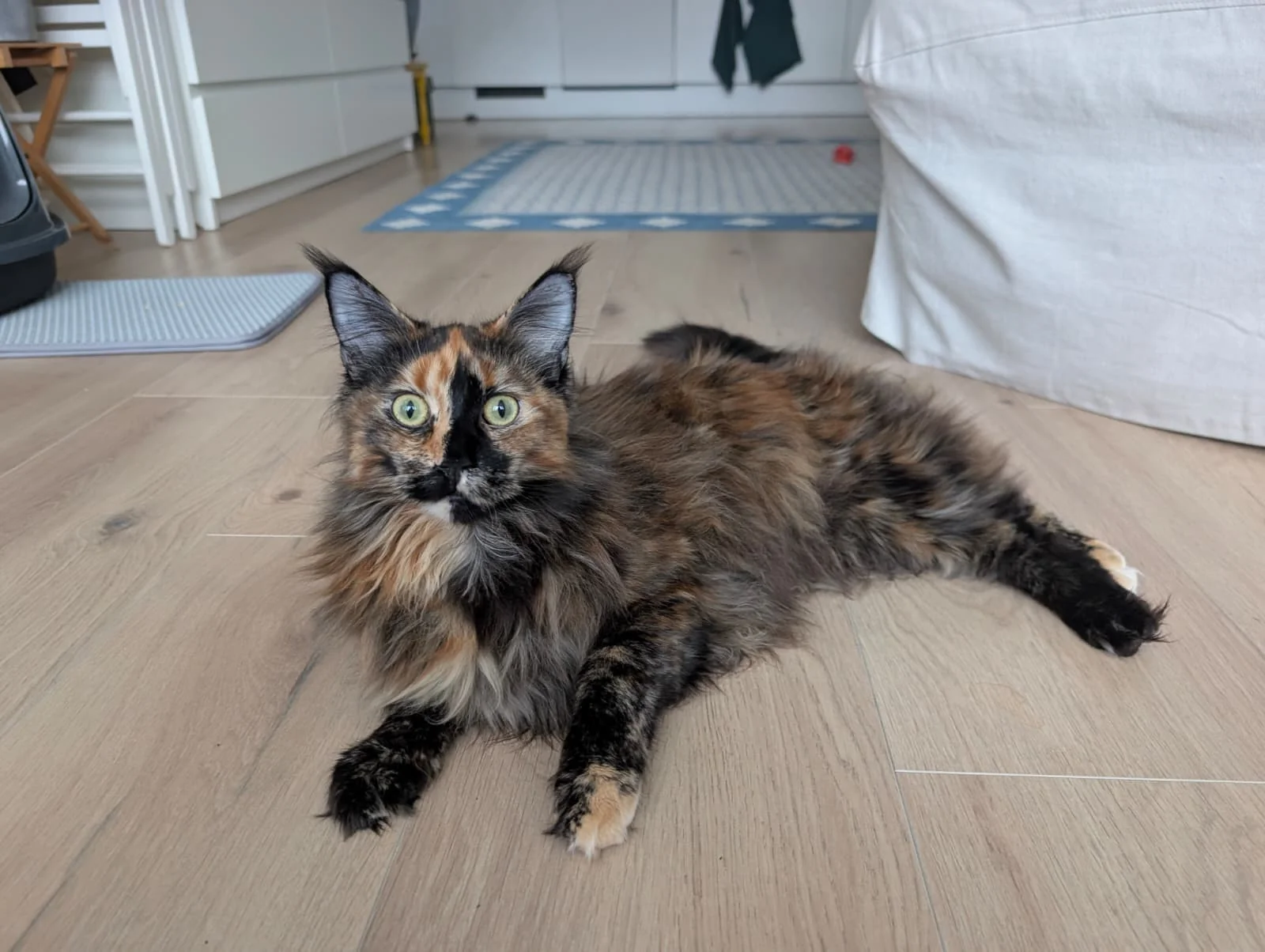 Foto van de Kamer gelegen aan de Willem Buytewechstraat in Rotterdam