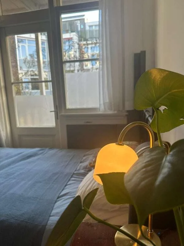 Foto van de Appartement gelegen aan de Koninginneweg in Amsterdam