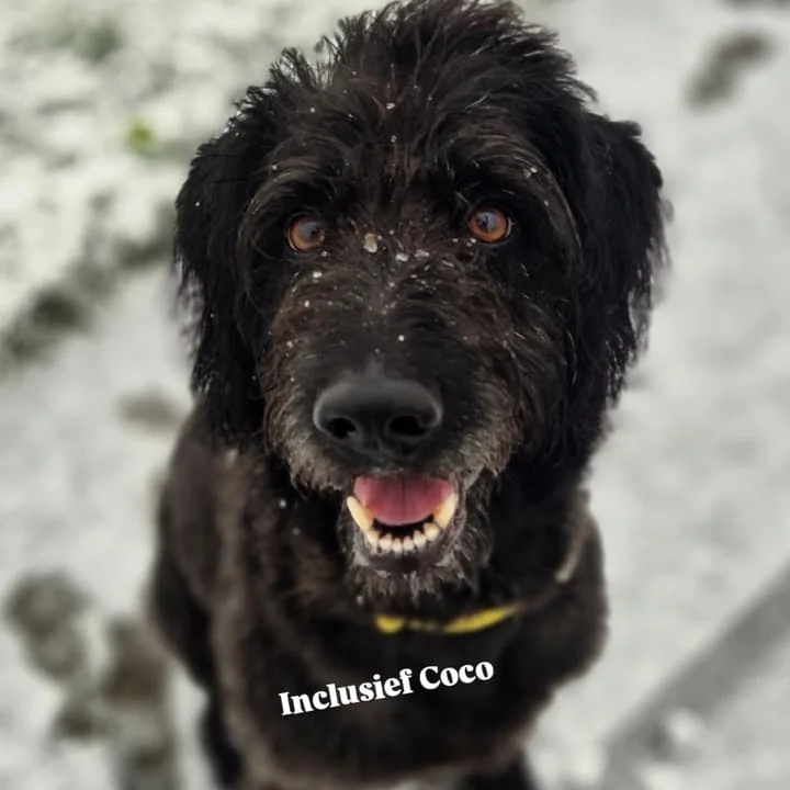 Foto van de Kamer gelegen aan de Reitdiephaven in Groningen