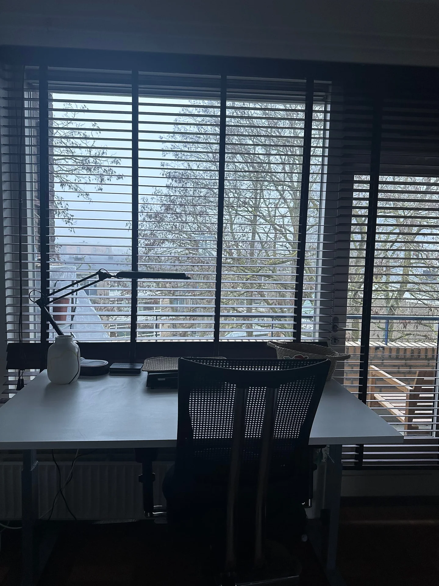 Foto van de Kamer gelegen aan de Lessinglaan in Utrecht