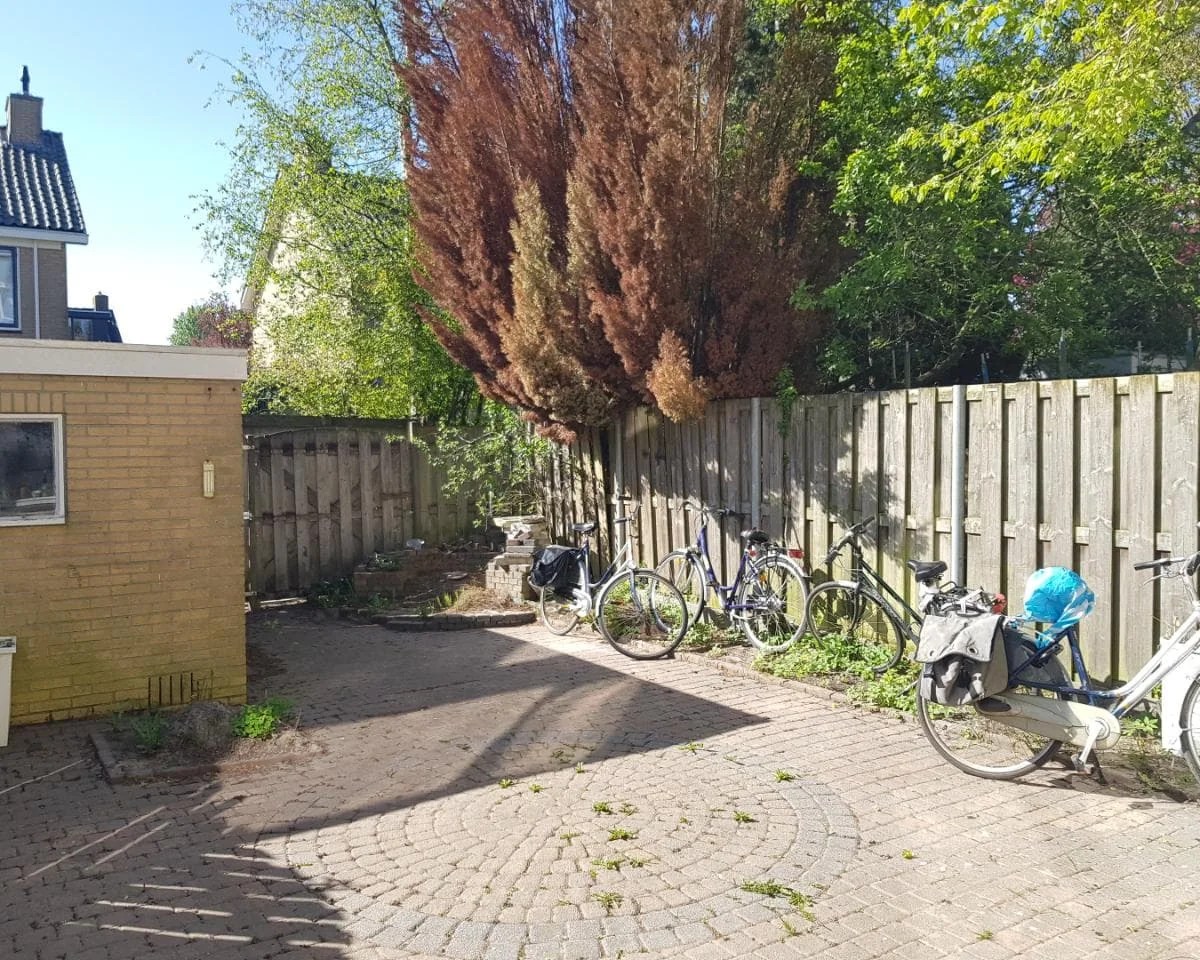 geblurde versie van de foto als achtergrond