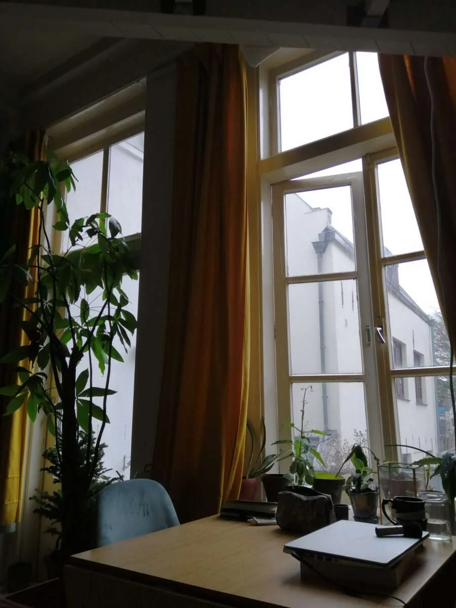 geblurde versie van de foto als achtergrond