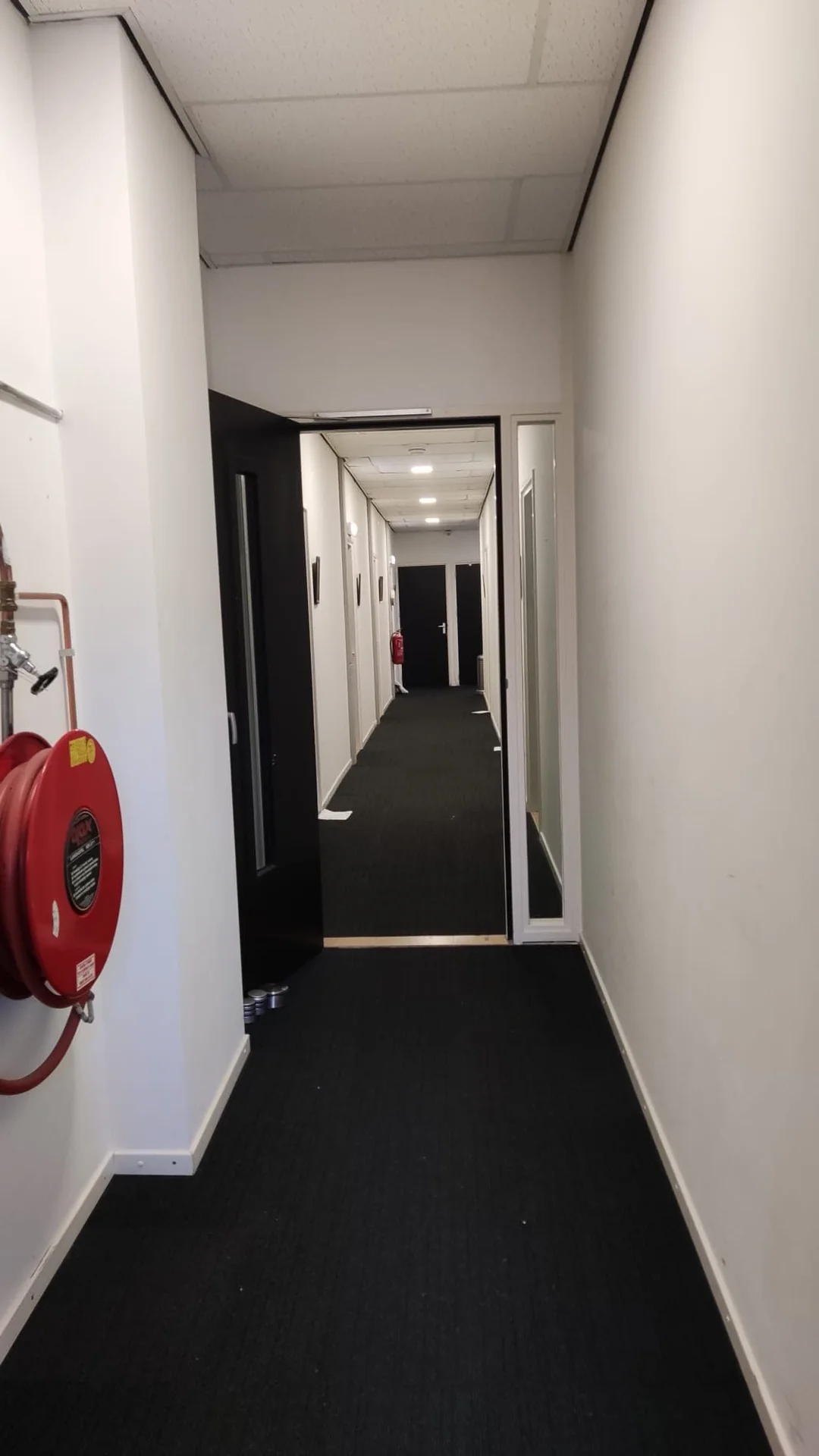 Foto van de Kamer gelegen aan de Lupinestraat in Eindhoven