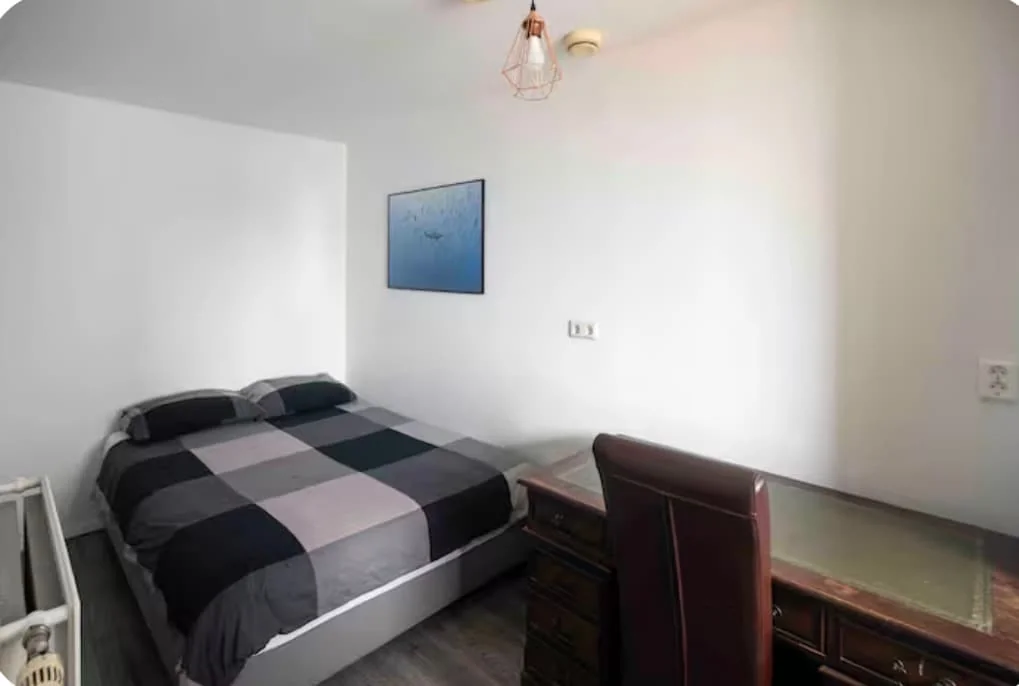 geblurde versie van de foto als achtergrond