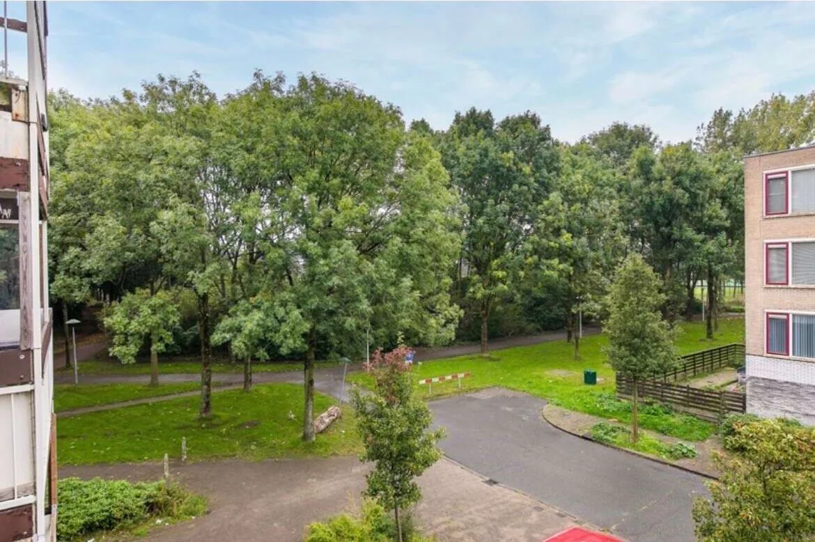 geblurde versie van de foto als achtergrond