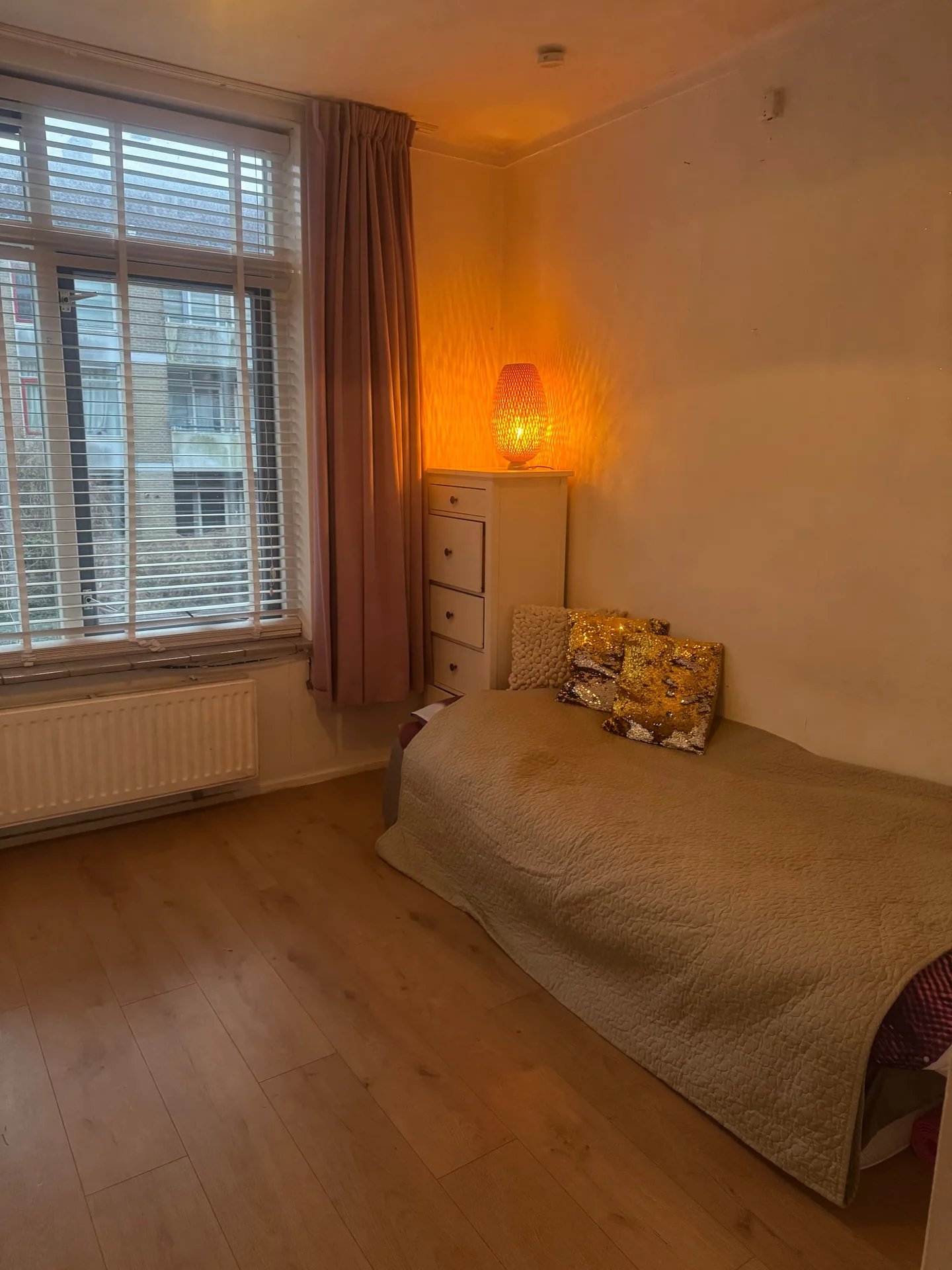 Foto van de Kamer gelegen aan de Aalbersestraat in Utrecht