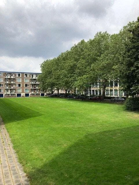 geblurde versie van de foto als achtergrond