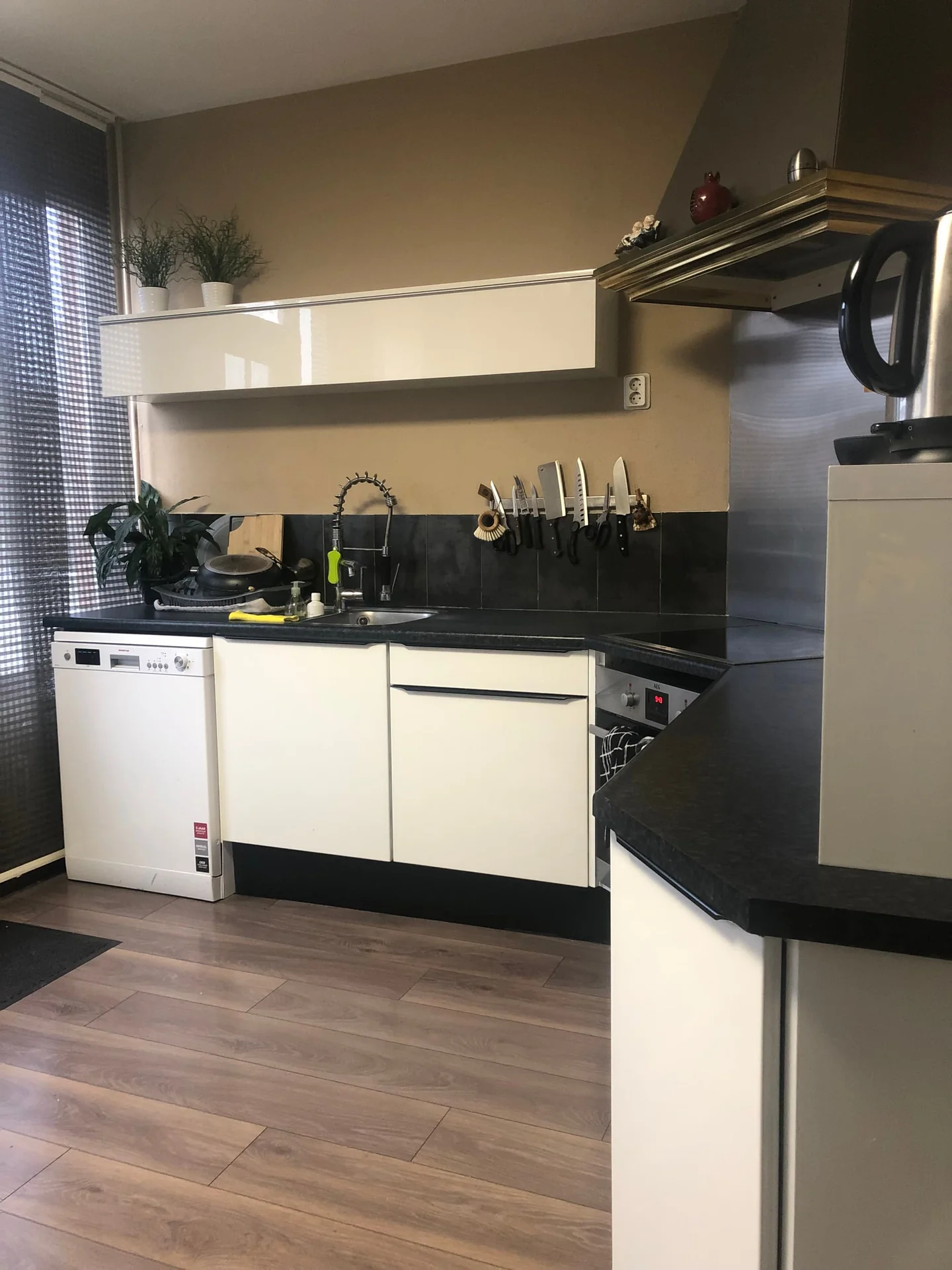 Foto van de Kamer gelegen aan de Heggedoorn in Rotterdam