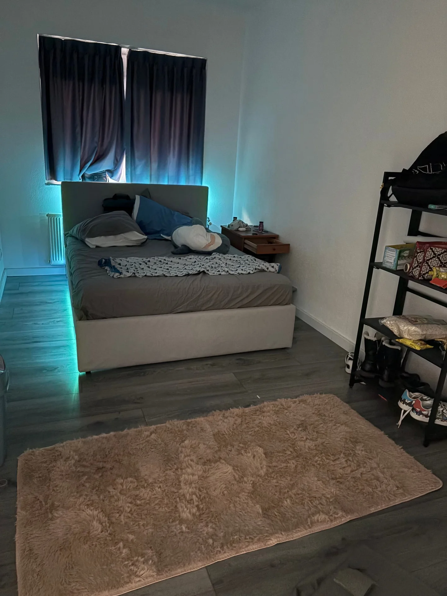 Foto van de Kamer gelegen aan de Anna Blamansingel in Amsterdam