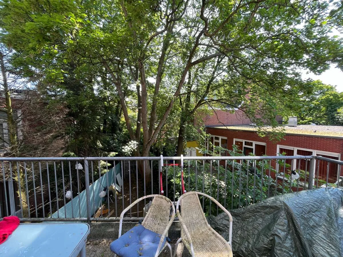 geblurde versie van de foto als achtergrond