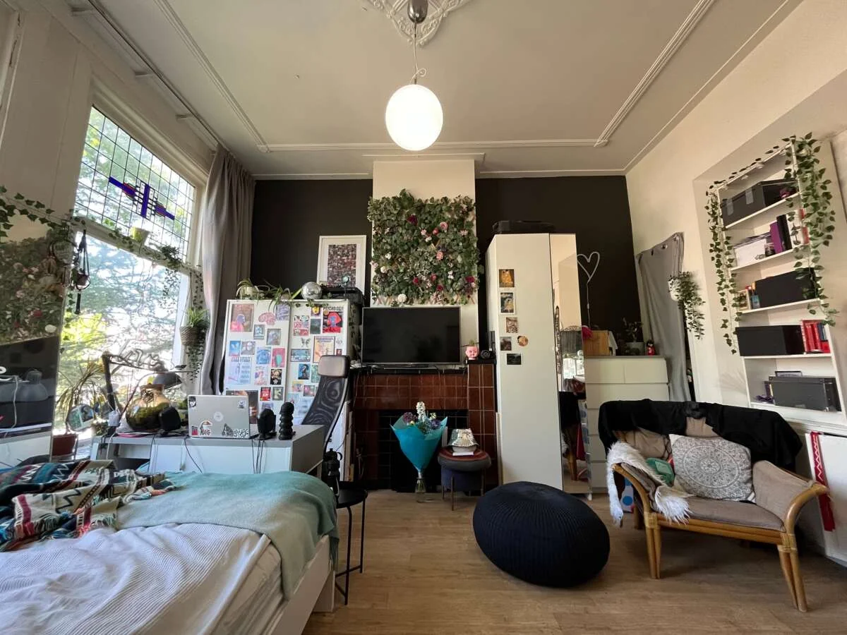 geblurde versie van de foto als achtergrond