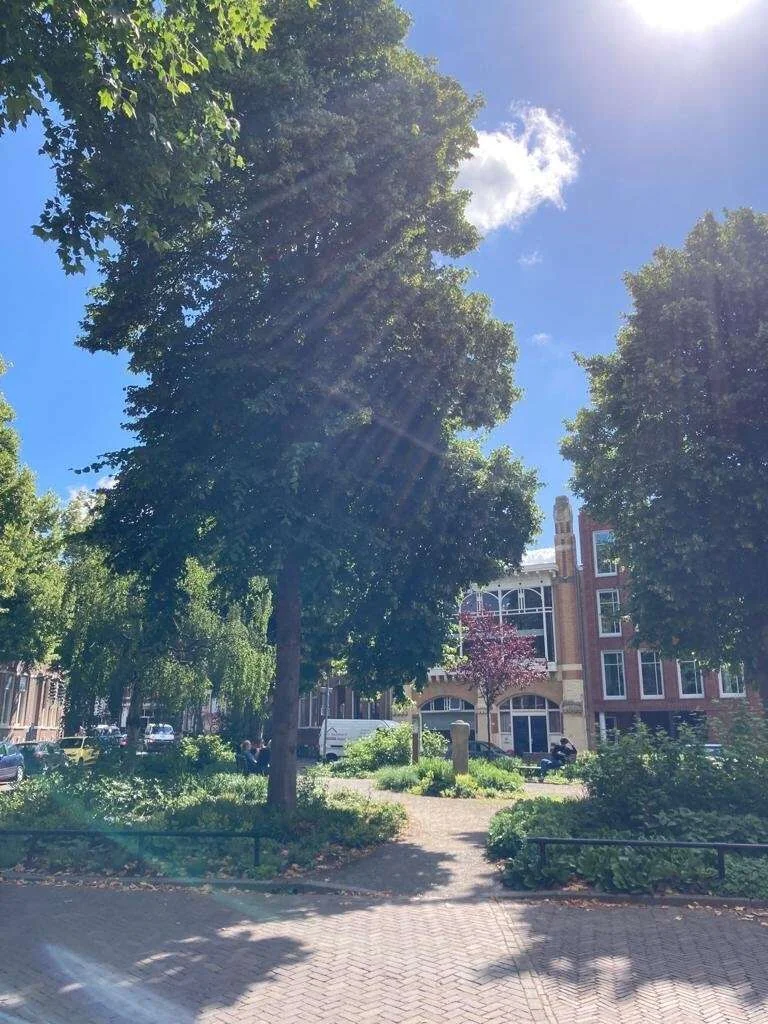 Foto van de Kamer gelegen aan de Melkweg in Groningen