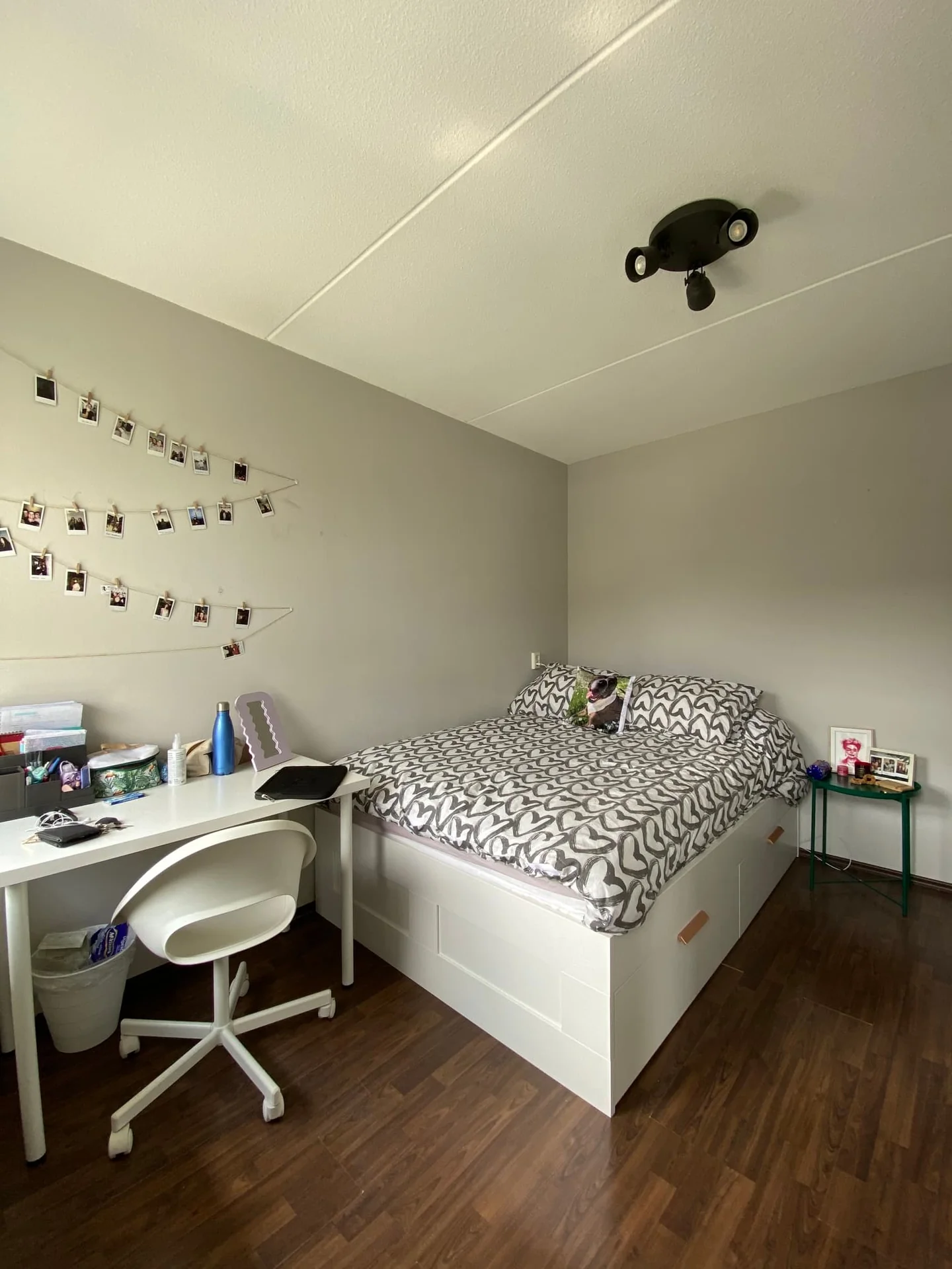 geblurde versie van de foto als achtergrond