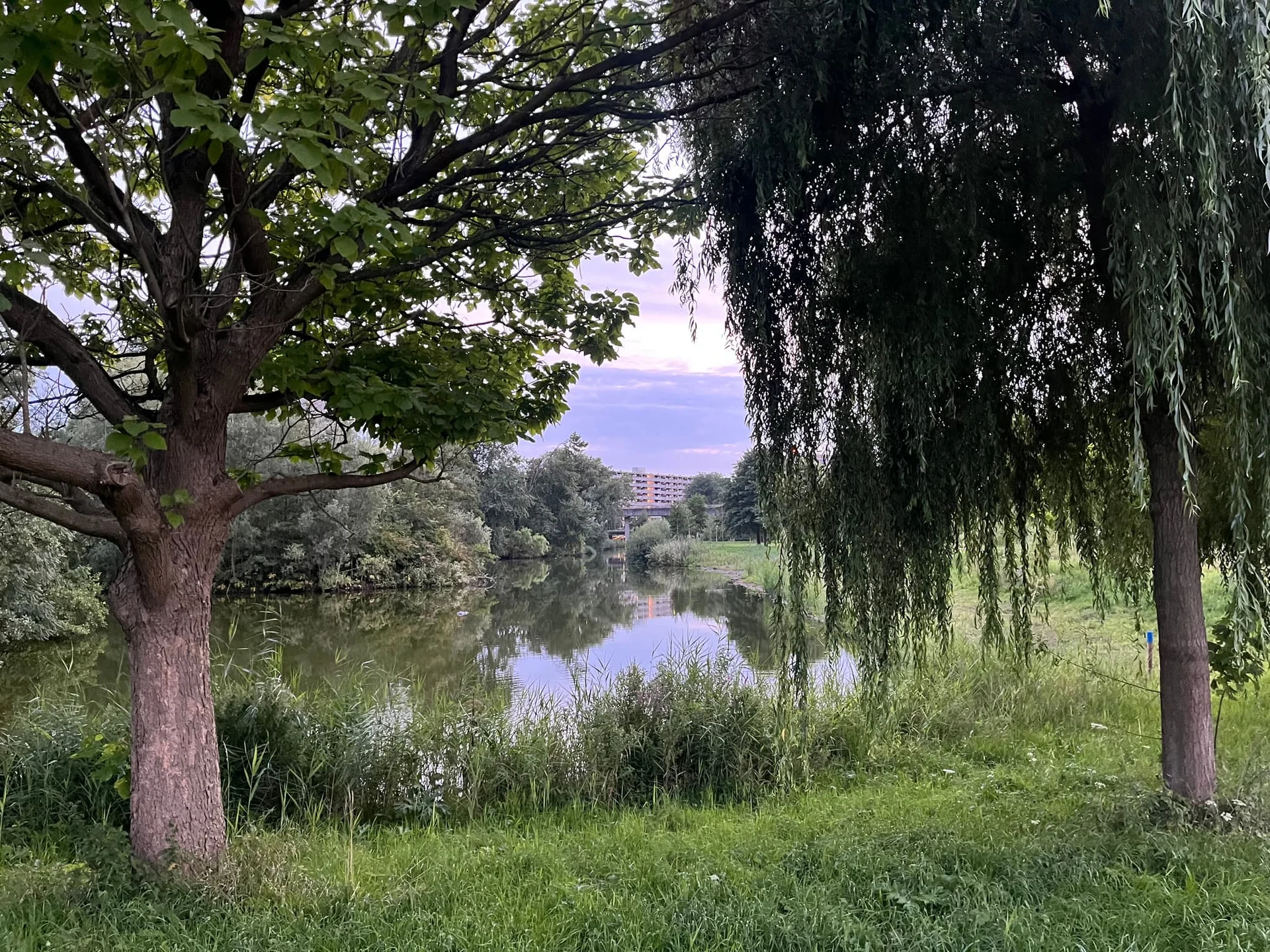 Foto van de Kamer gelegen aan de Echtenstein in Amsterdam
