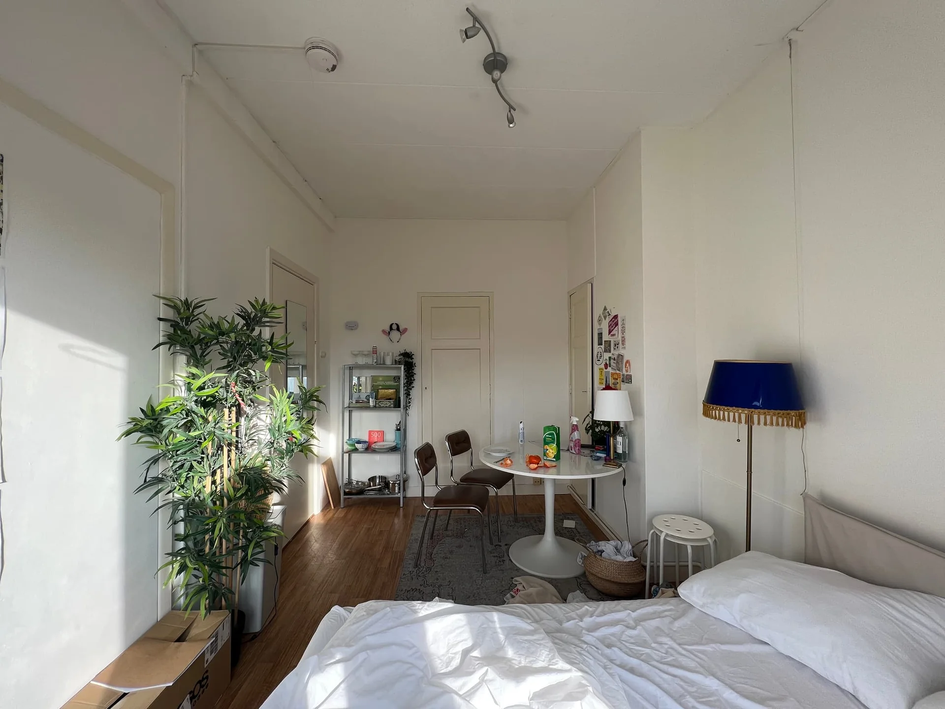 Foto van de Kamer gelegen aan de Tweede Willemstraat in Groningen