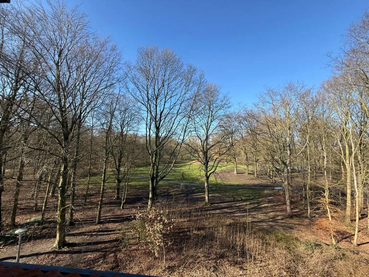 Foto van de Appartement gelegen aan de Orteliusstraat in Amsterdam