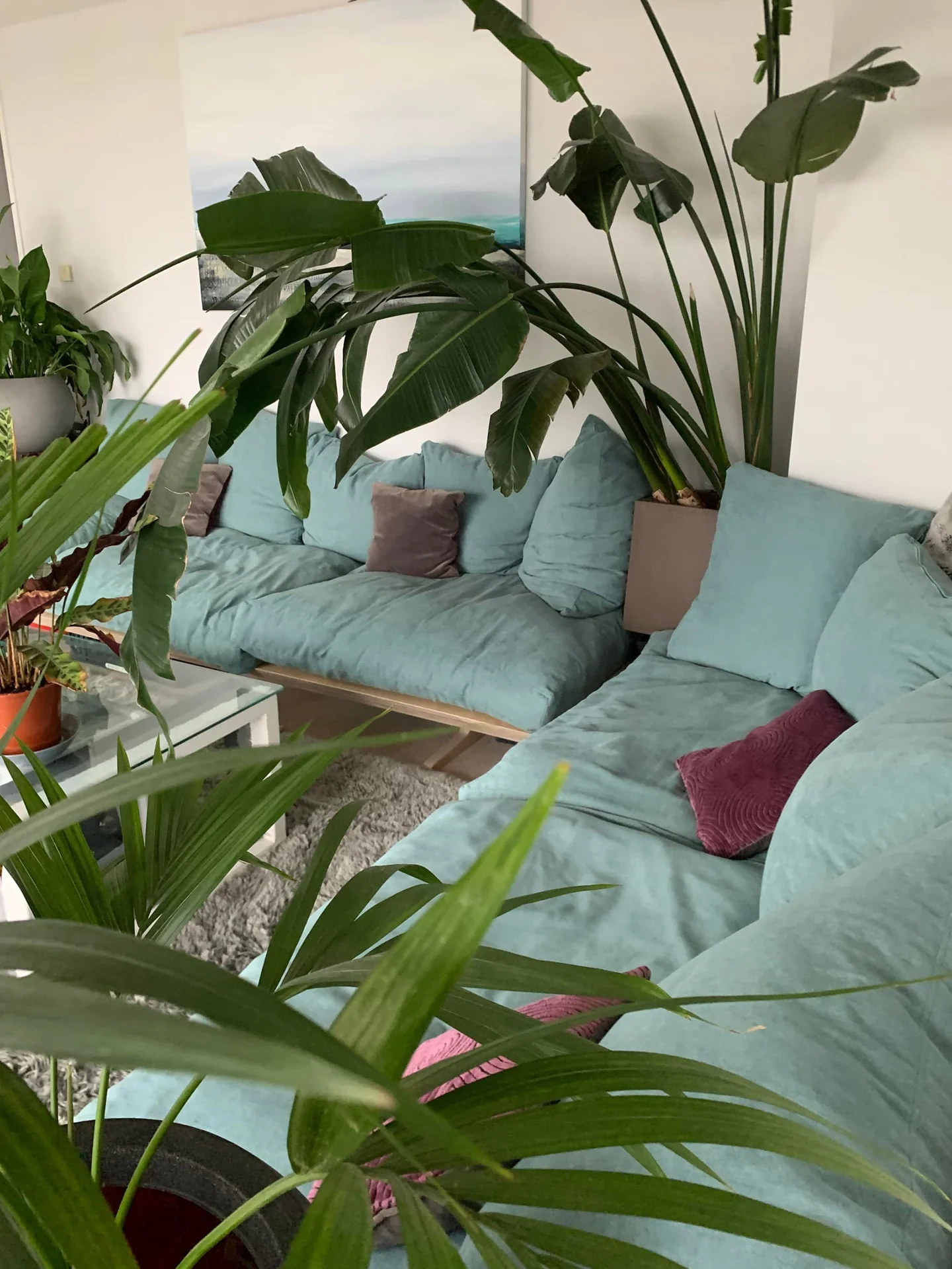 Foto van de Kamer gelegen aan de Jollemanhof in Amsterdam