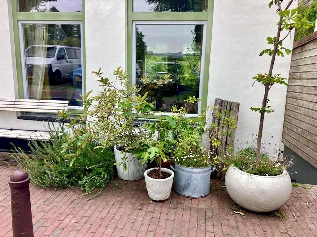 Foto van de Appartement gelegen aan de Schellingwouderdijk in Amsterdam