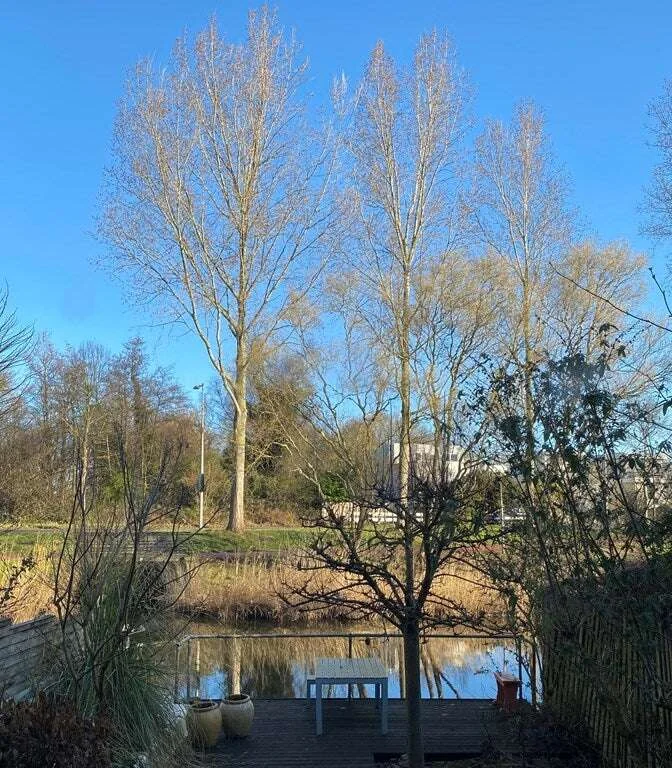 Foto van de Appartement gelegen aan de Schellingwouderdijk in Amsterdam