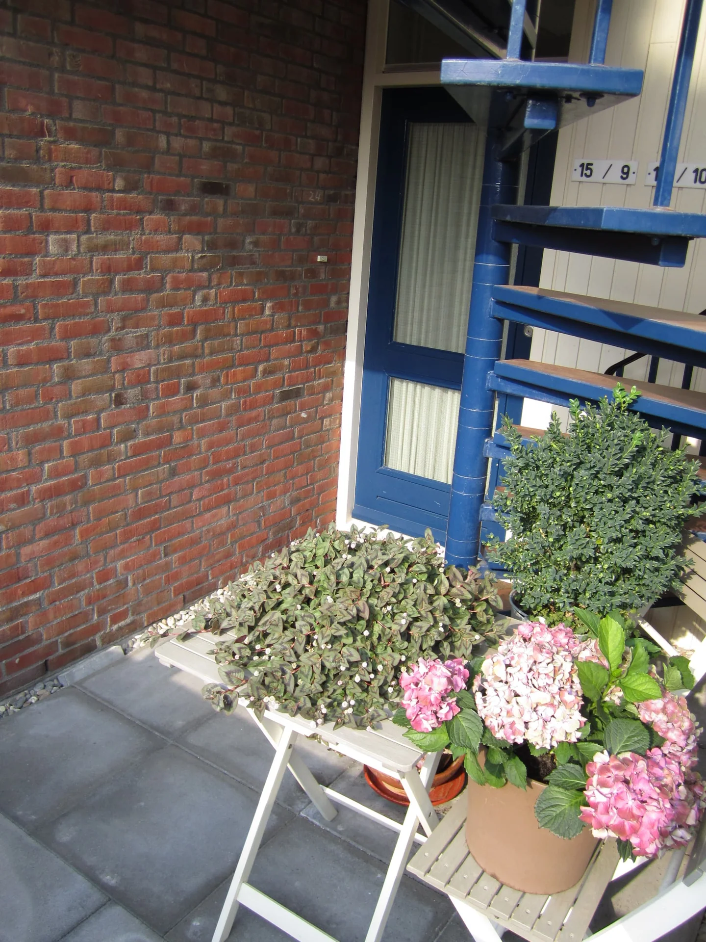 geblurde versie van de foto als achtergrond