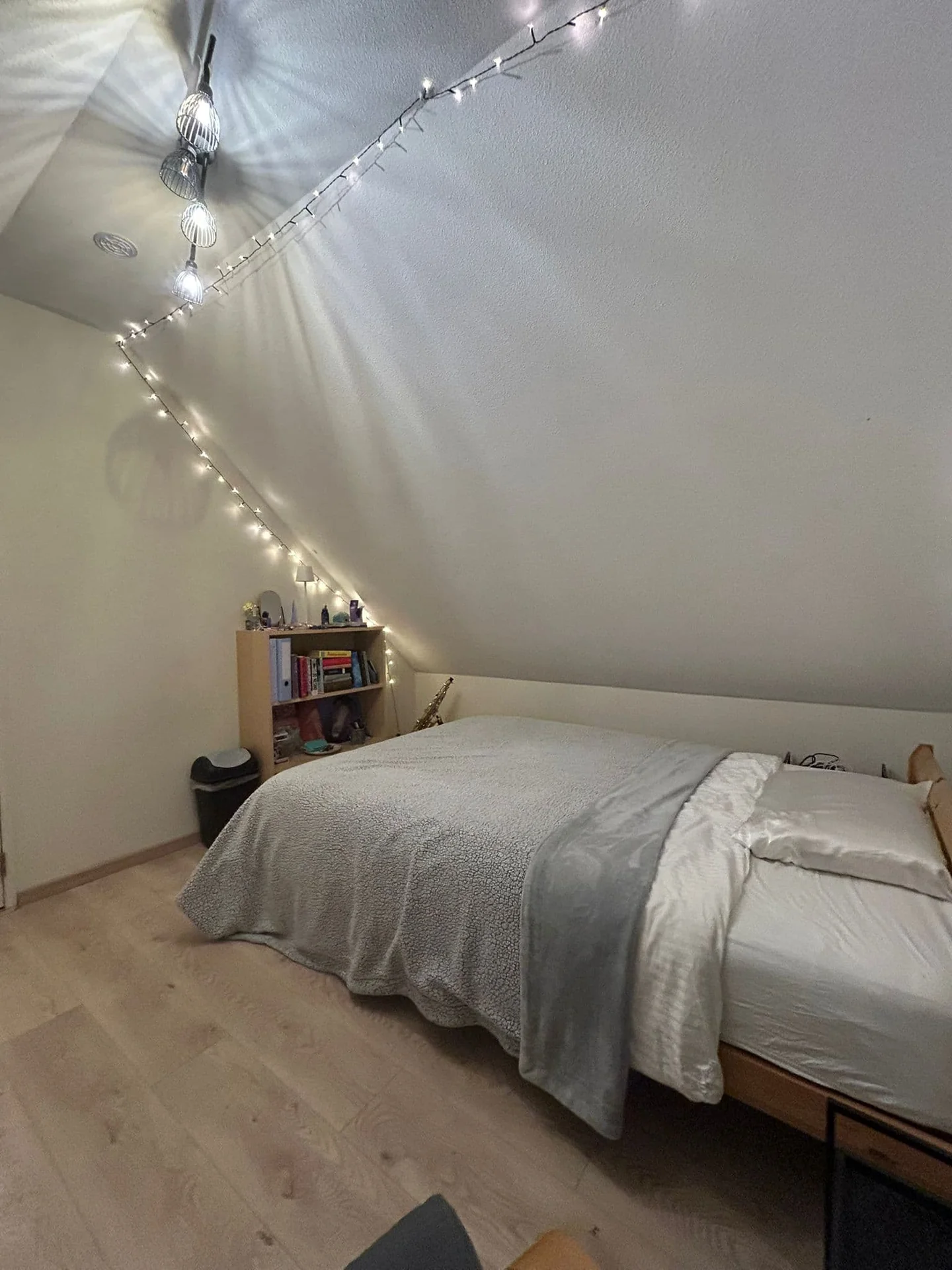 Foto van de Kamer gelegen aan de Volmarijnstraat in Rotterdam