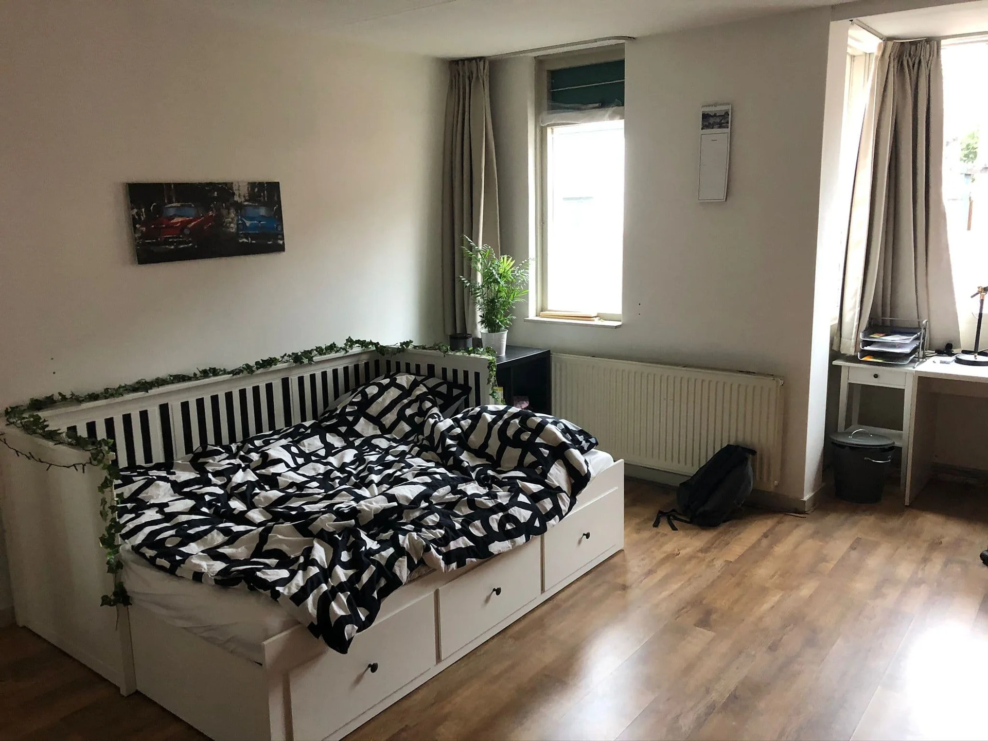 geblurde versie van de foto als achtergrond