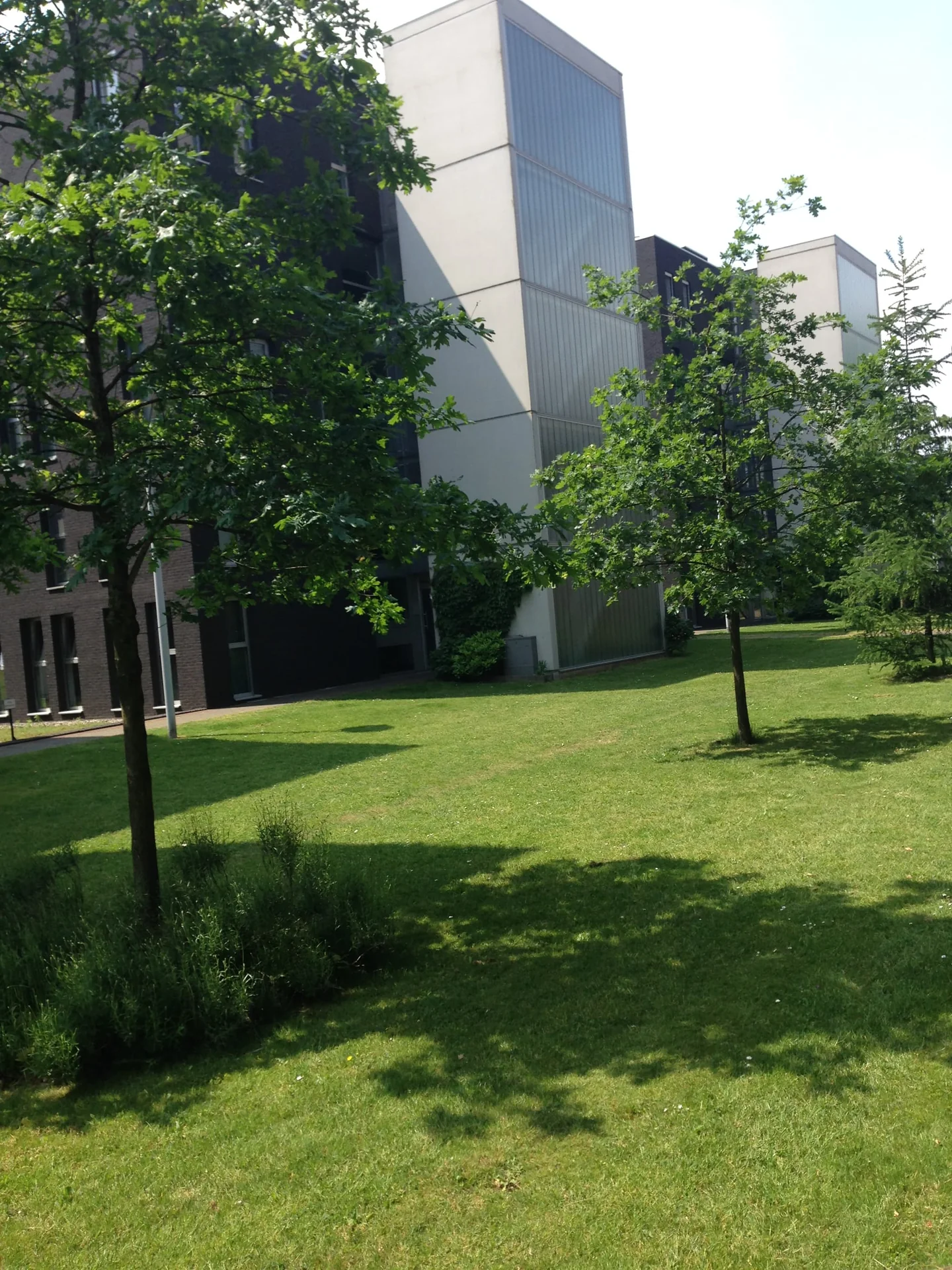 Foto van de Kamer gelegen aan de Wachterslaan in Nijmegen