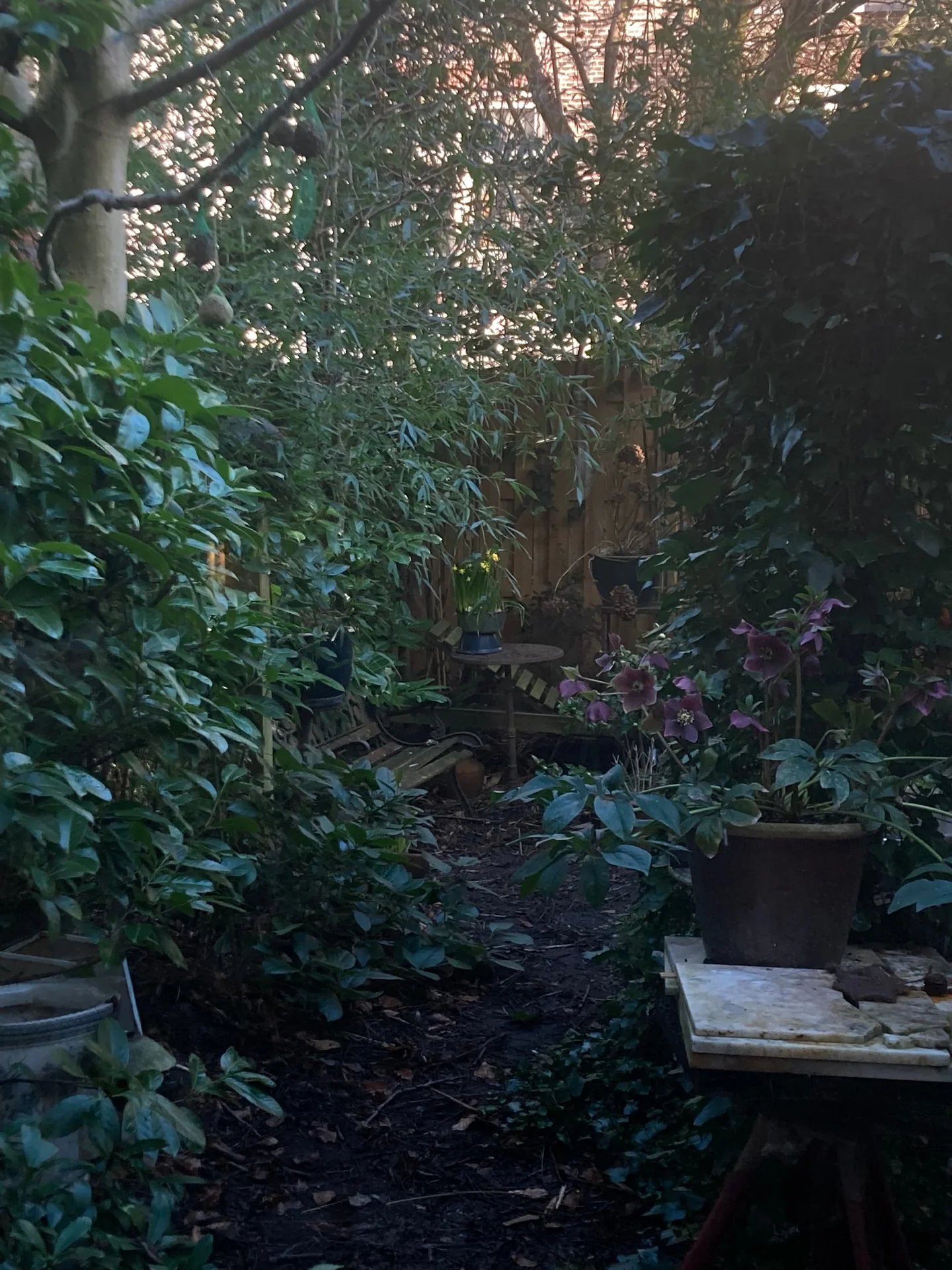 Foto van de Appartement gelegen aan de Willemsstraat in Amsterdam