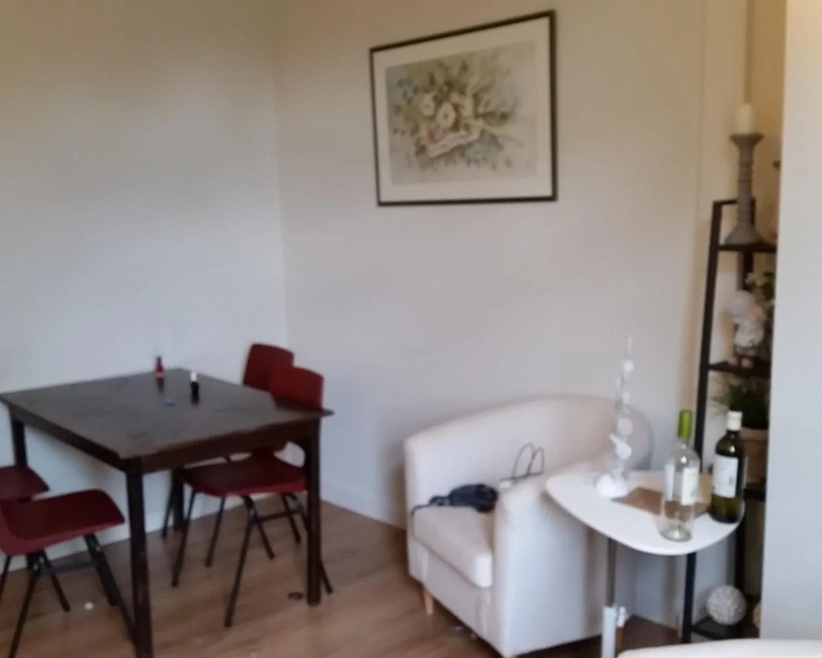 geblurde versie van de foto als achtergrond