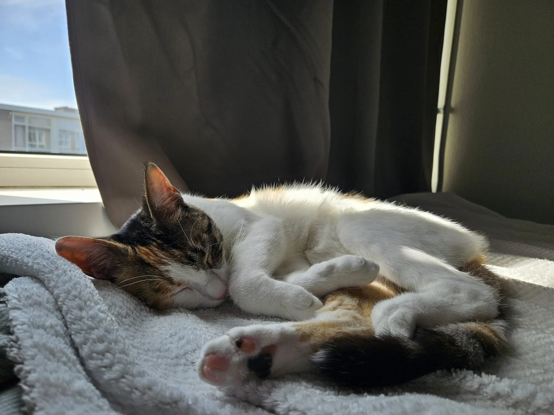 Foto van de Kamer gelegen aan de Toermalijnlaan in Utrecht