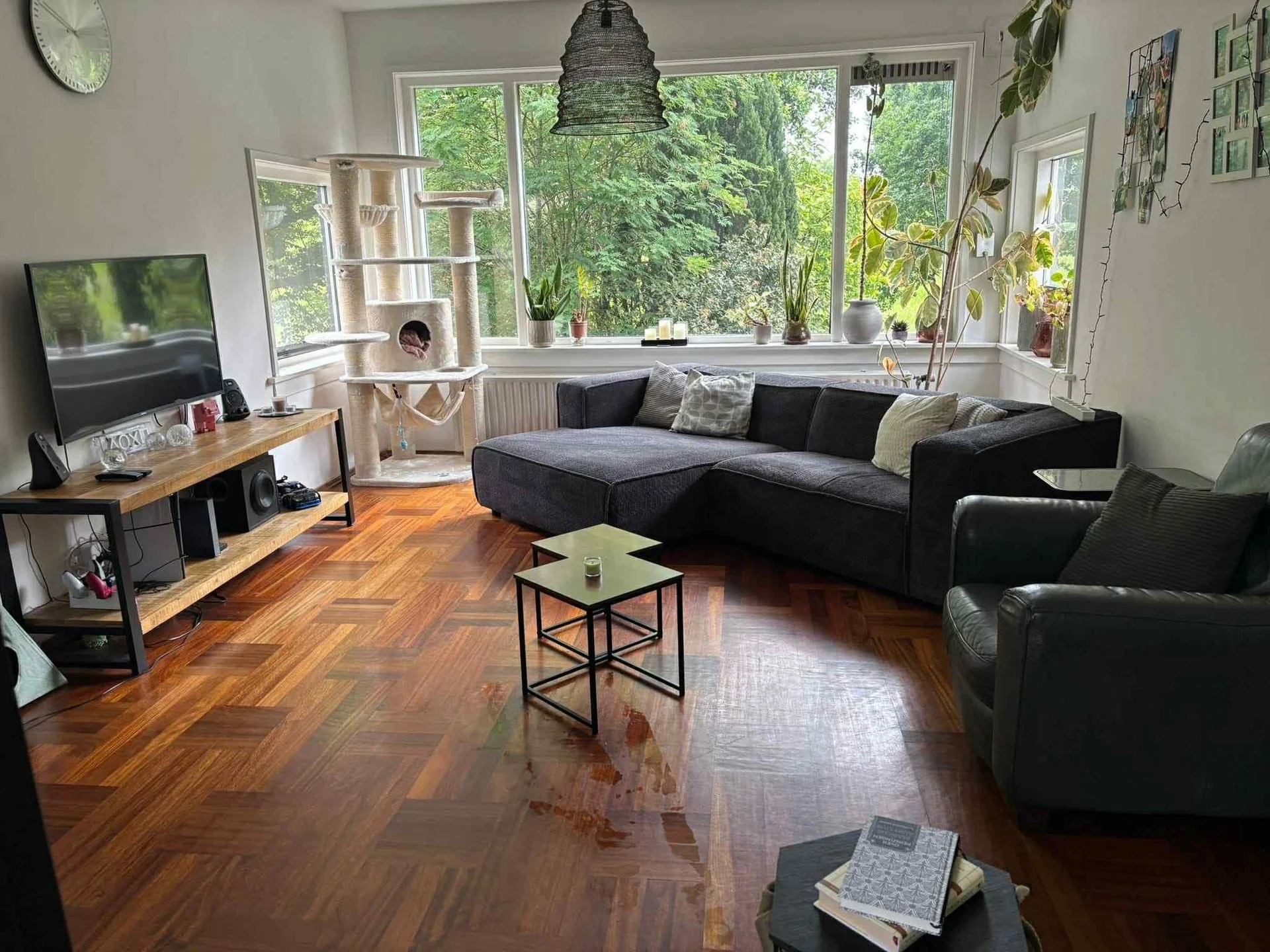 geblurde versie van de foto als achtergrond