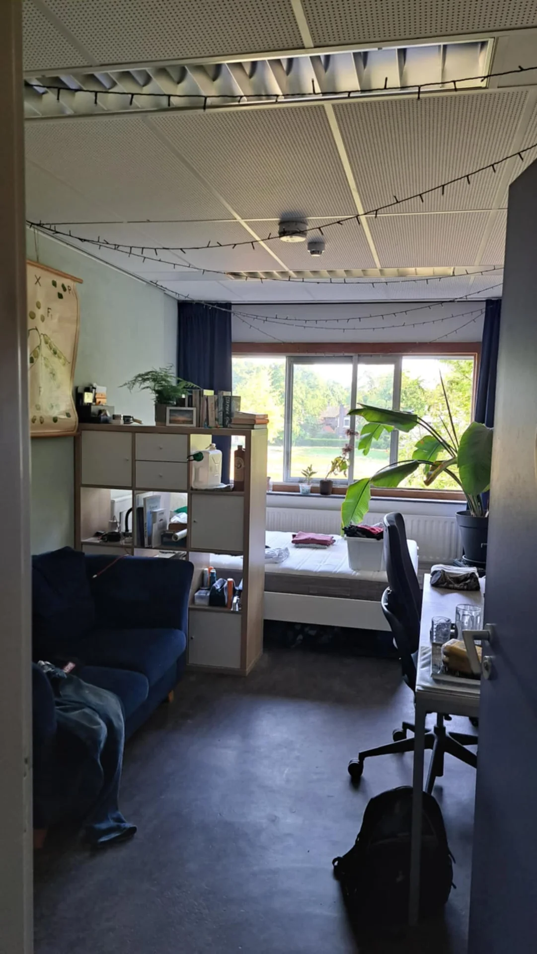 Foto van de Kamer gelegen aan de Bomenweg in Wageningen