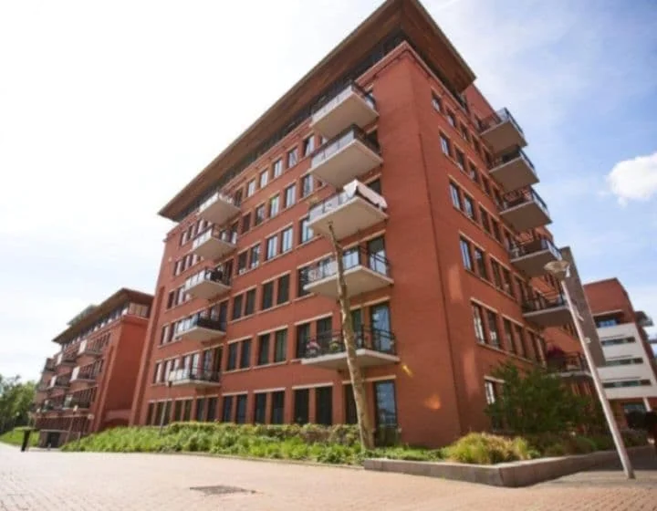 geblurde versie van de foto als achtergrond