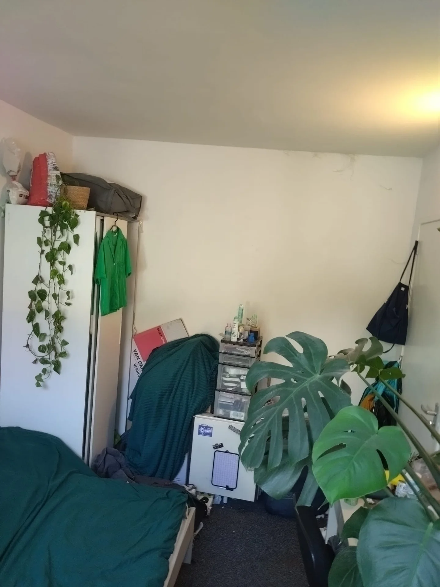 Foto van de Kamer gelegen aan de Distelstraat in Nijmegen