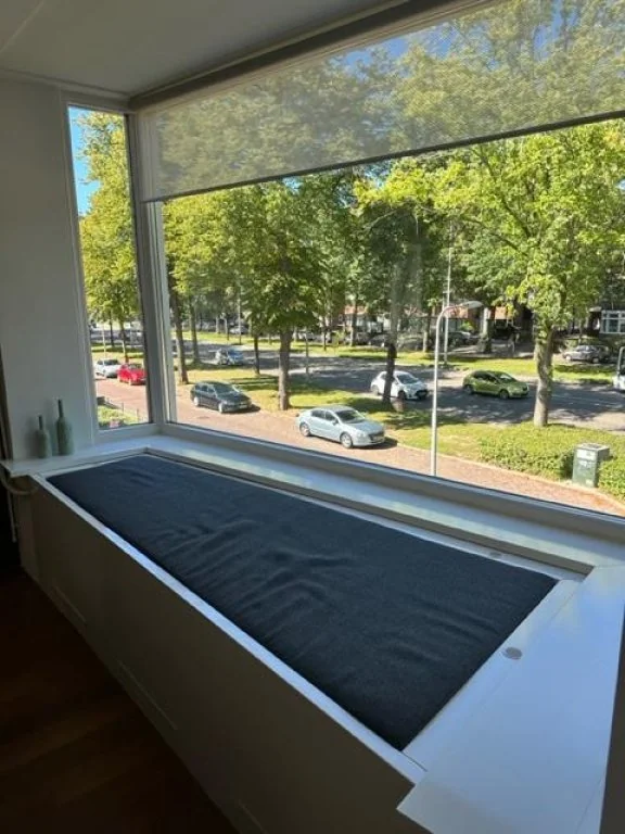 geblurde versie van de foto als achtergrond