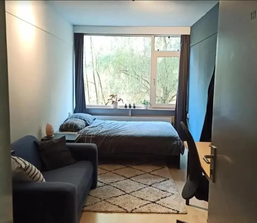 geblurde versie van de foto als achtergrond