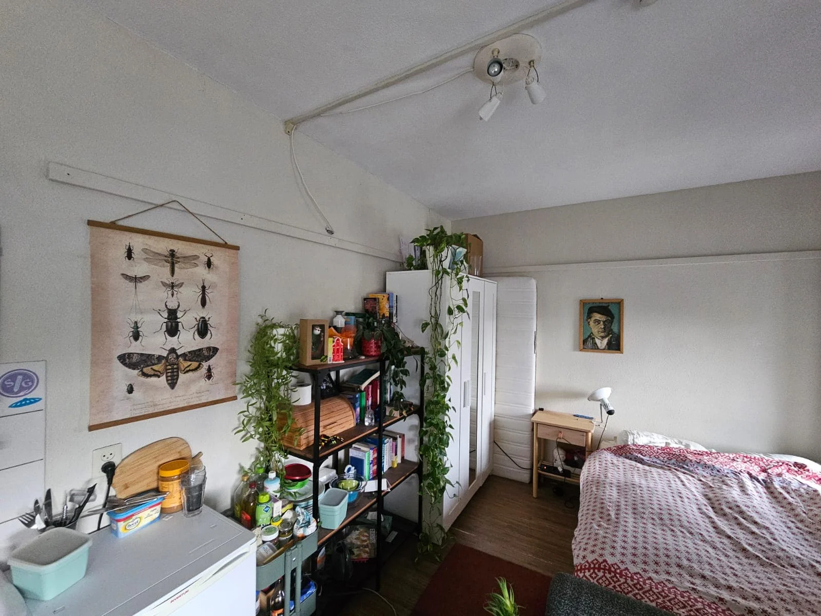 Foto van de Kamer gelegen aan de Deken van Somerenstraat in Eindhoven