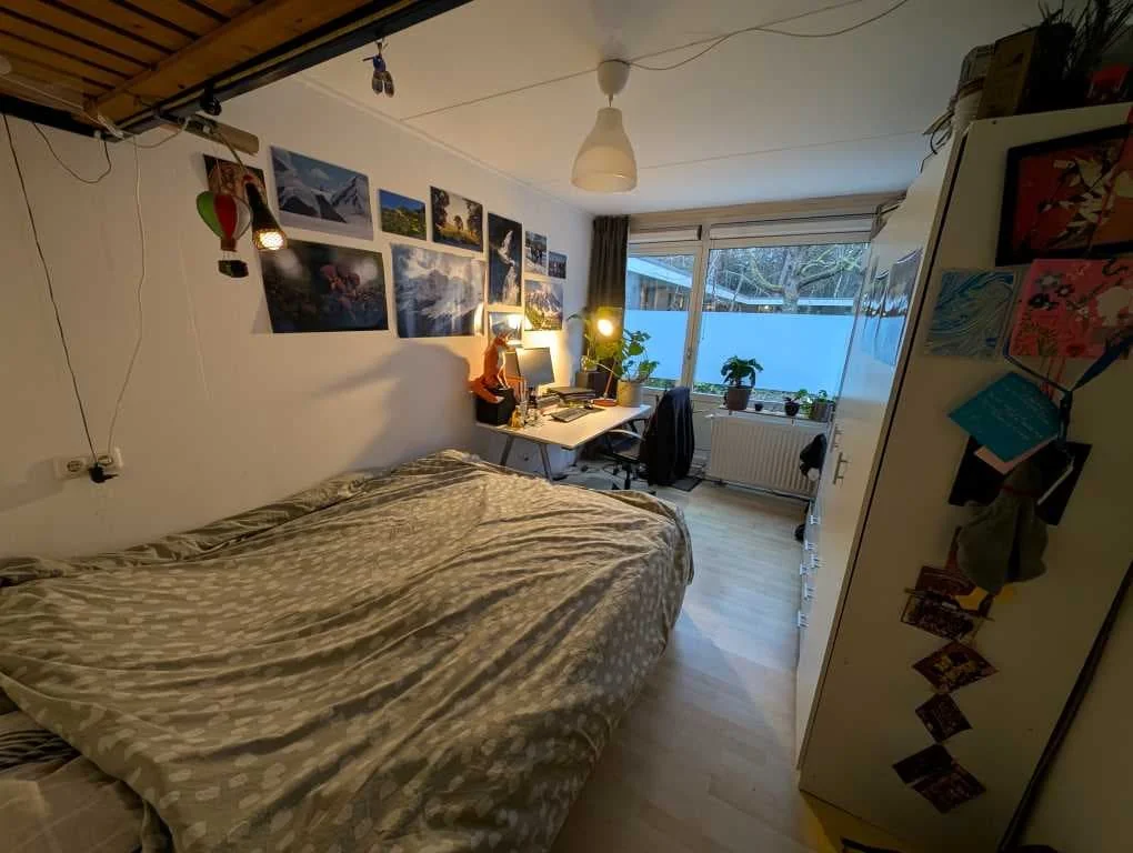 geblurde versie van de foto als achtergrond