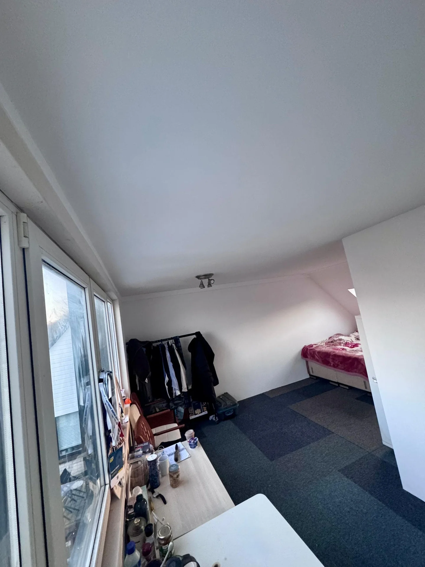 geblurde versie van de foto als achtergrond