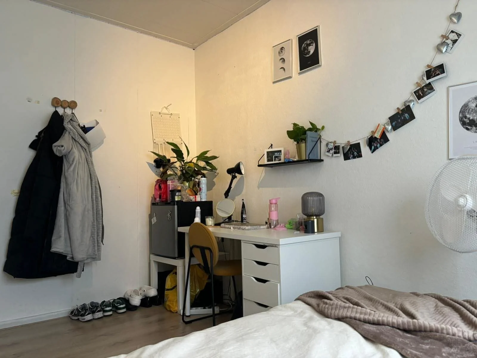 Foto van de Kamer gelegen aan de Lijsterstraat in Tilburg