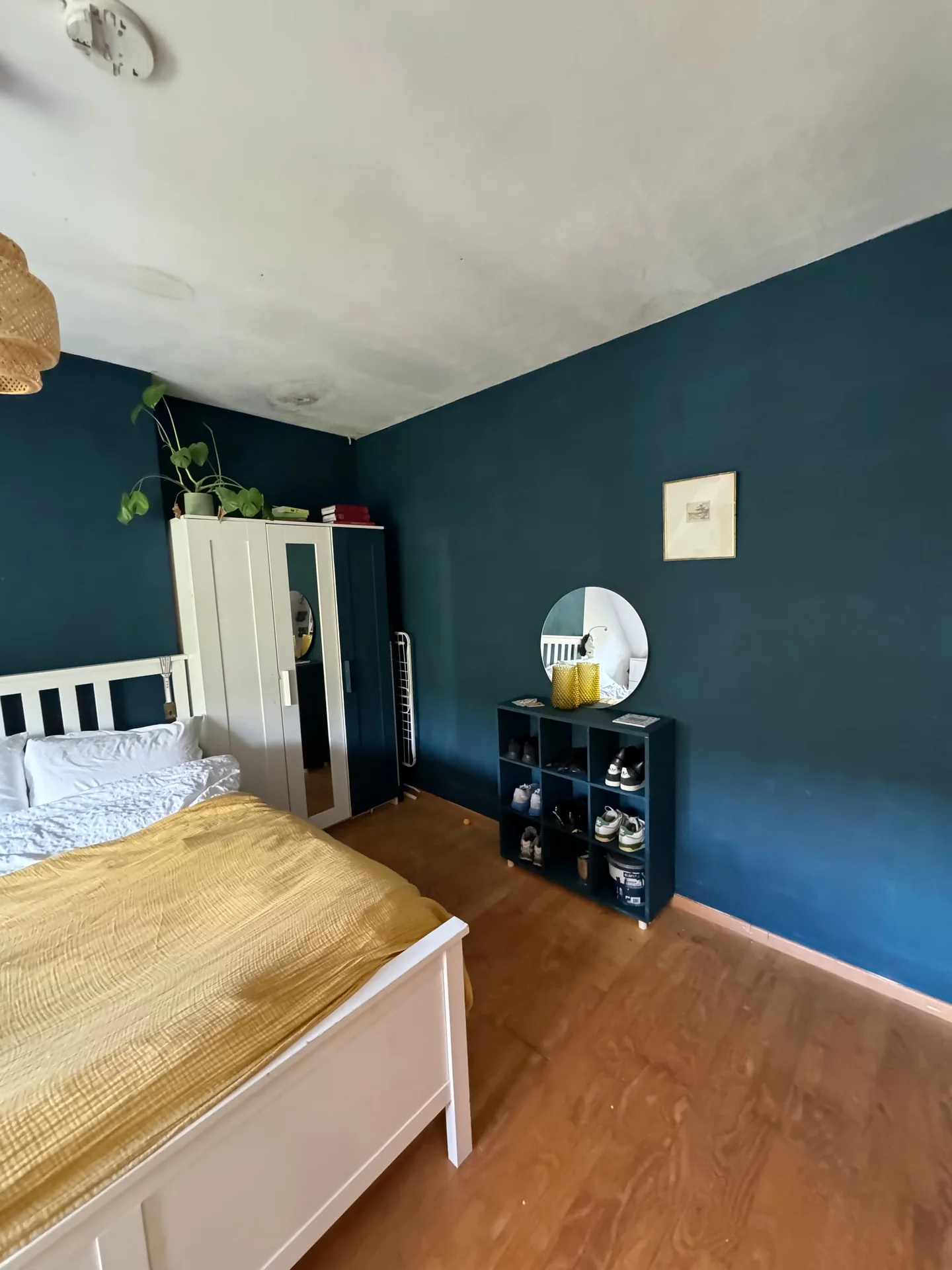 Foto van de Kamer gelegen aan de Julianalaan in Delft