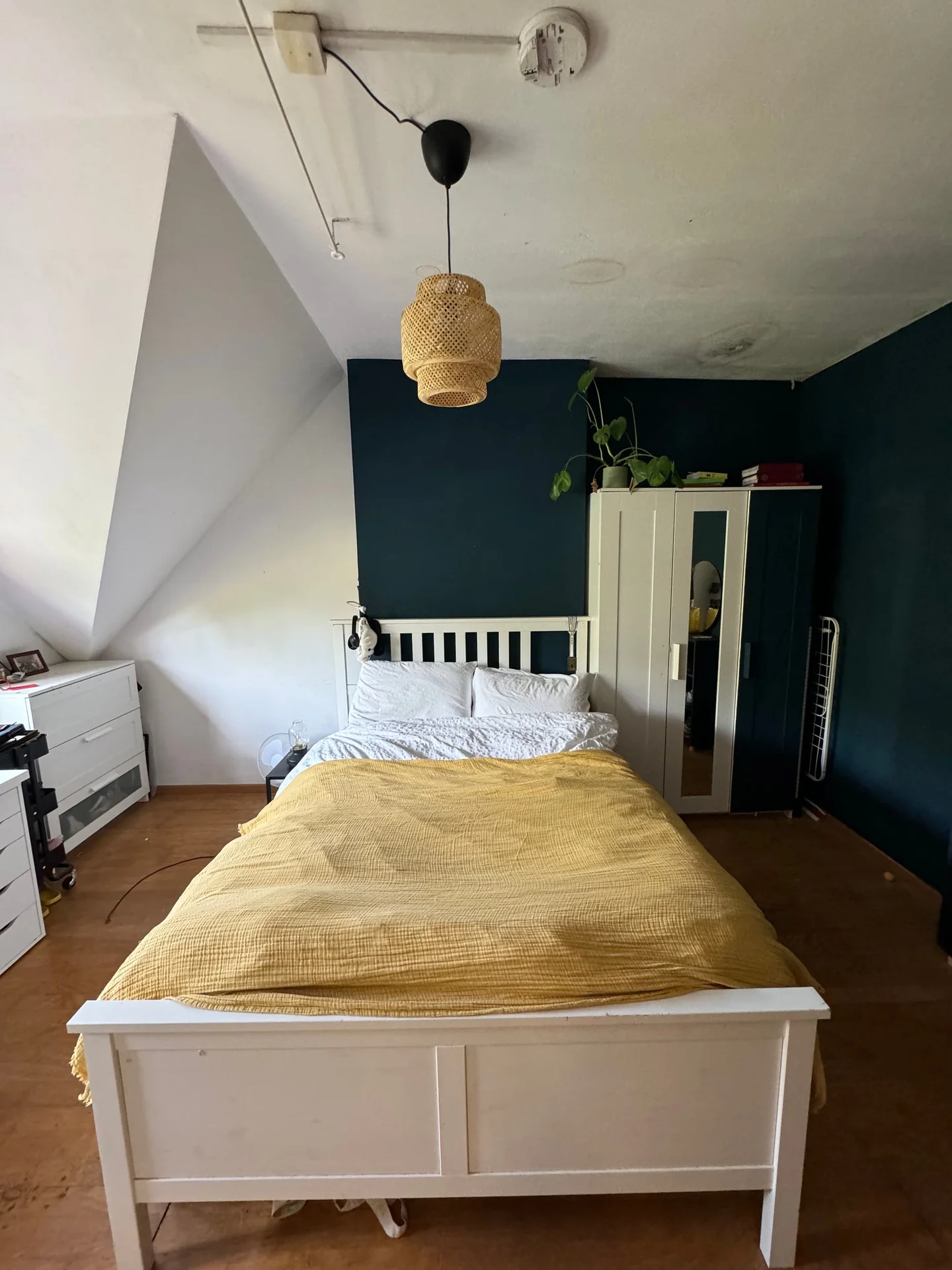 Foto van de Kamer gelegen aan de Julianalaan in Delft