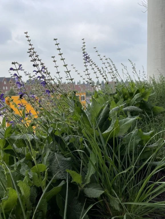 Foto van de Appartement gelegen aan de Madridstraat in Utrecht