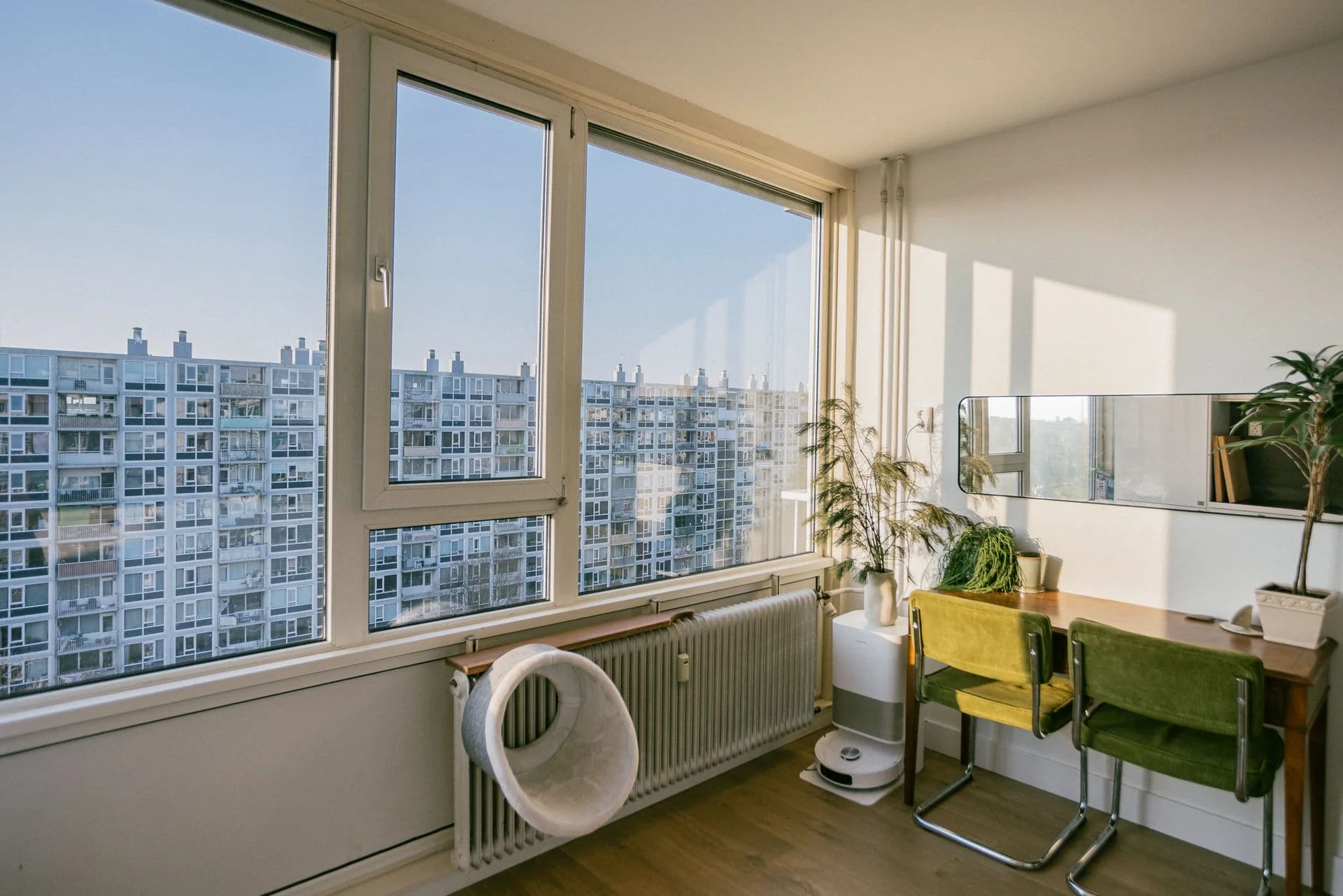 geblurde versie van de foto als achtergrond