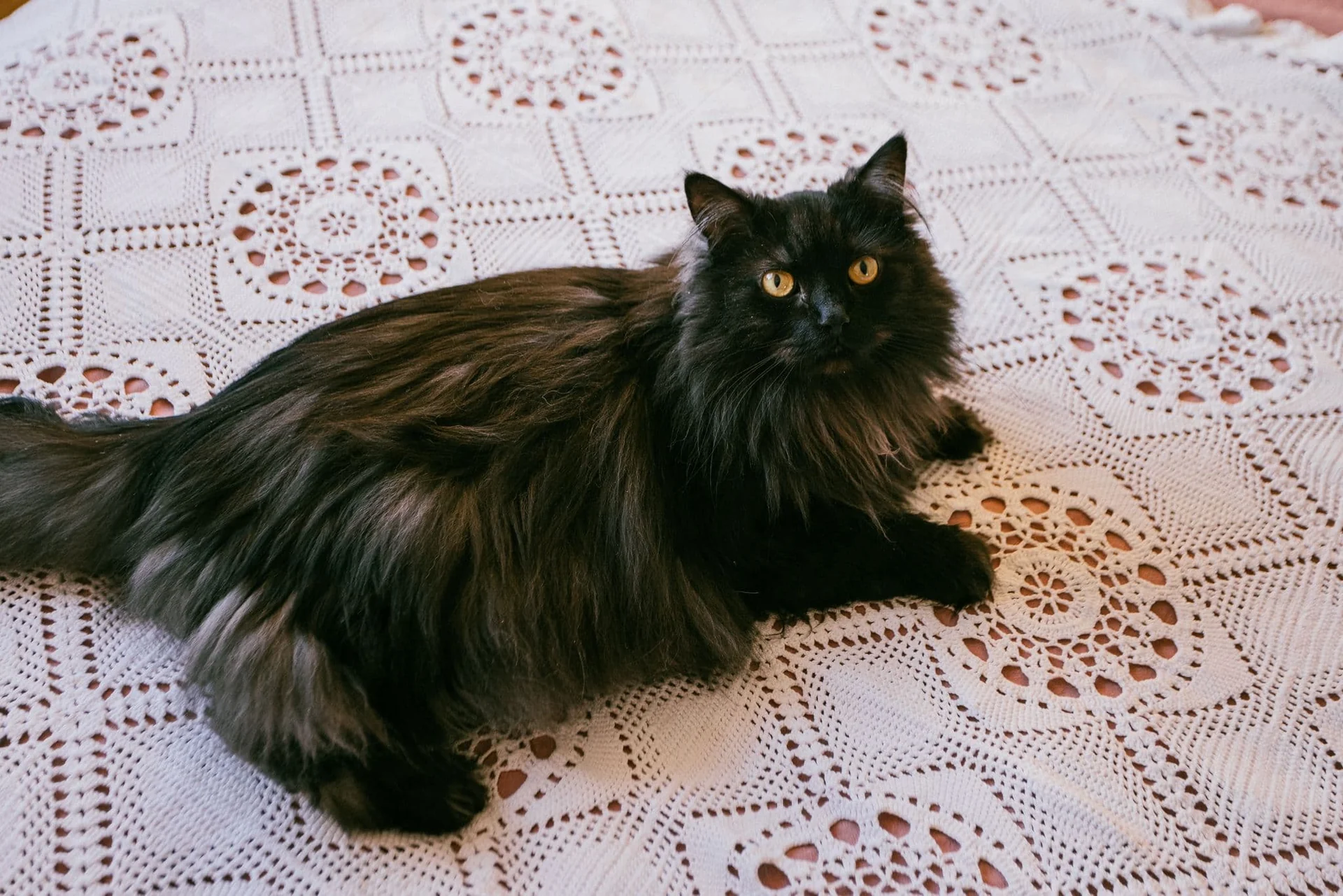 Foto van de Kamer gelegen aan de Jaap Edendreef in Utrecht