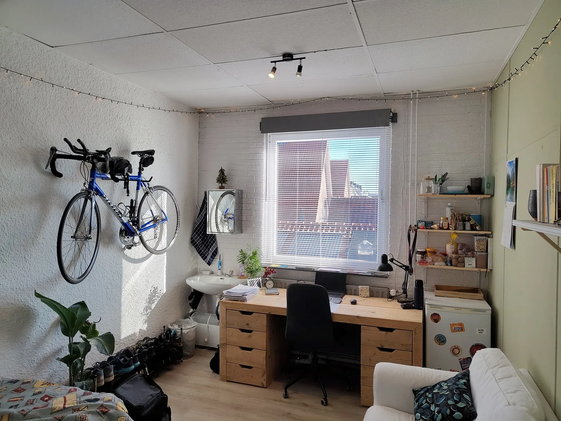 geblurde versie van de foto als achtergrond