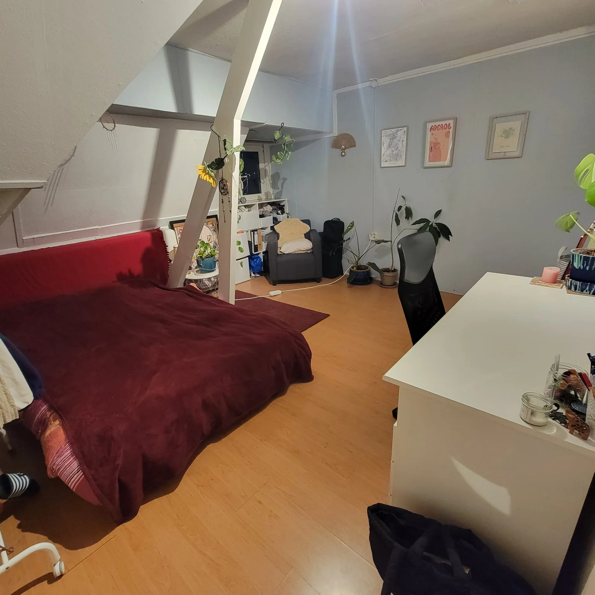 geblurde versie van de foto als achtergrond